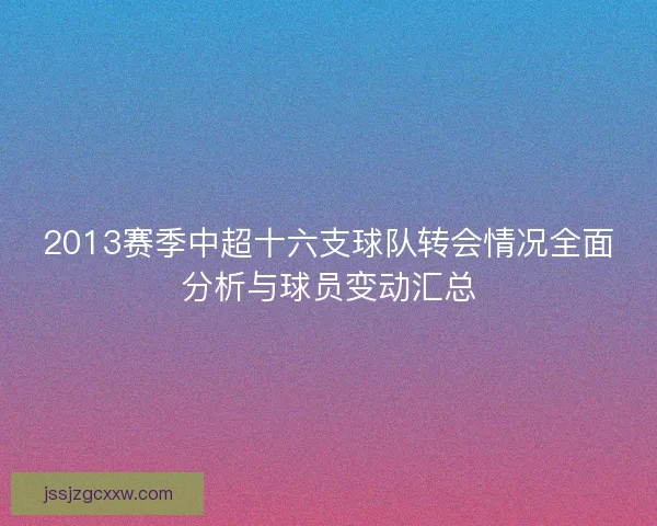 2013赛季中超十六支球队转会情况全面分析与球员变动汇总