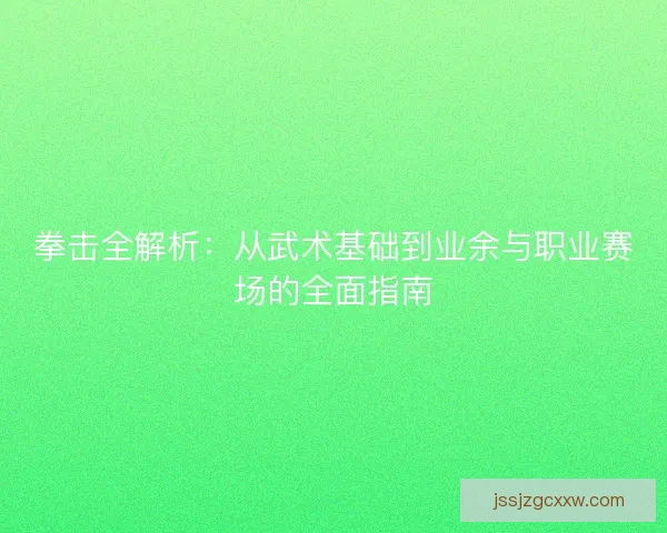 拳击全解析：从武术基础到业余与职业赛场的全面指南