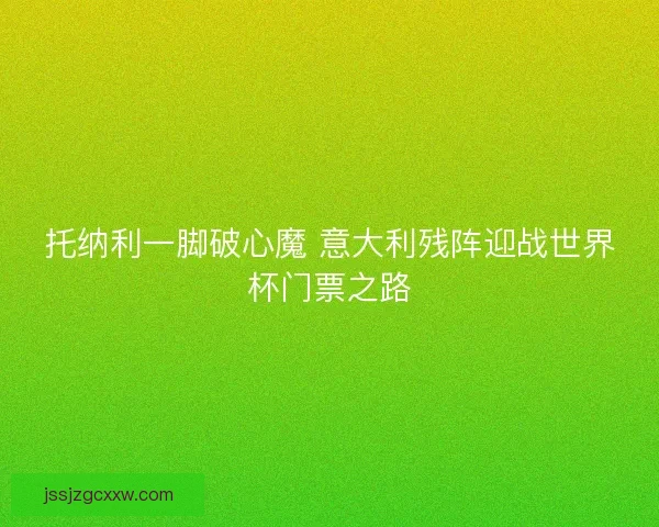 托纳利一脚破心魔 意大利残阵迎战世界杯门票之路
