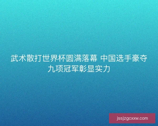 武术散打世界杯圆满落幕 中国选手豪夺九项冠军彰显实力